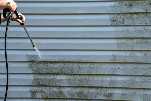 Best Siding Removal and Disposal  in Basile, LA